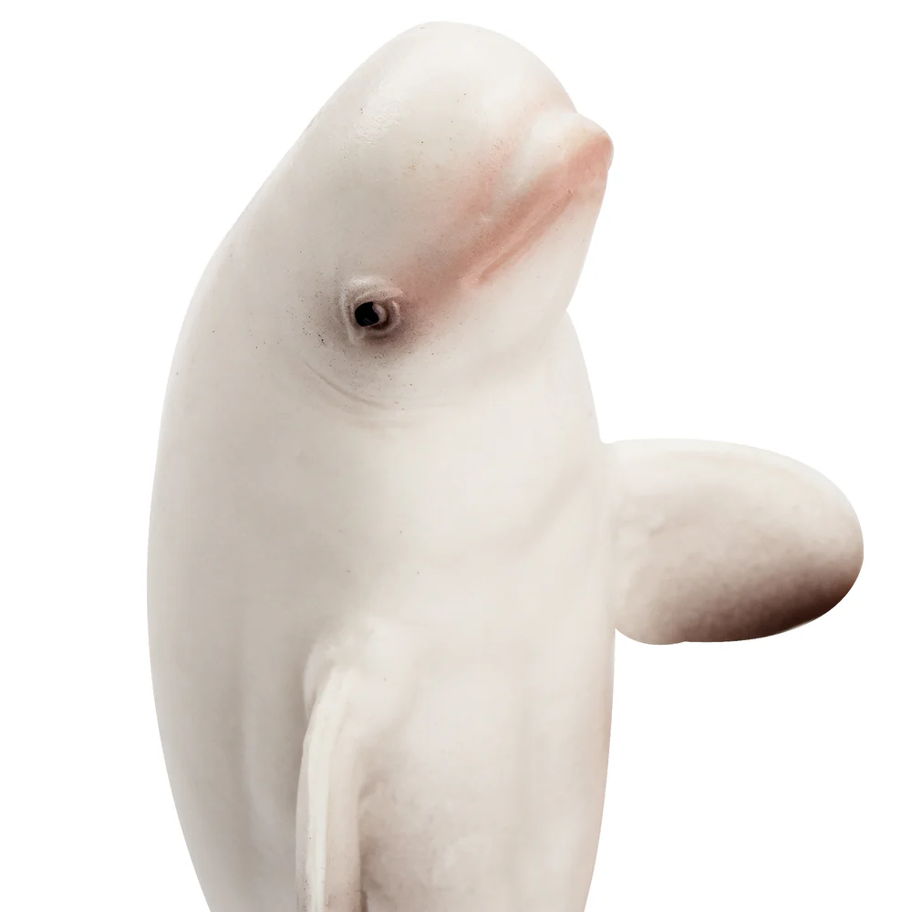 Toymany Simulation Beluga Whal - огляд і ціна Marine Aquarium Decorations