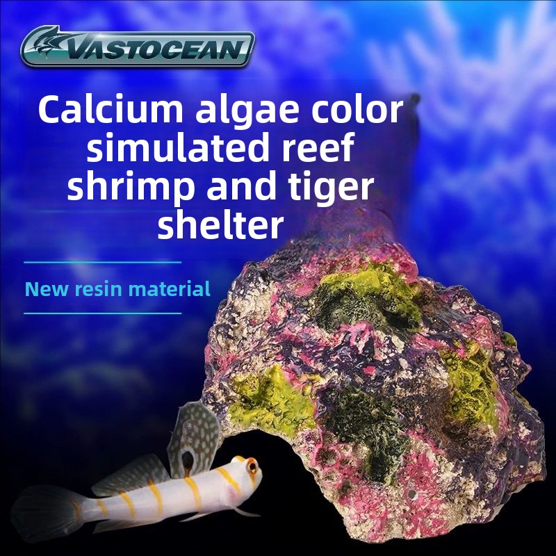 VASTOCEAN Saltwater Aquarium C - огляд і ціна Marine Aquarium Hermit Crab