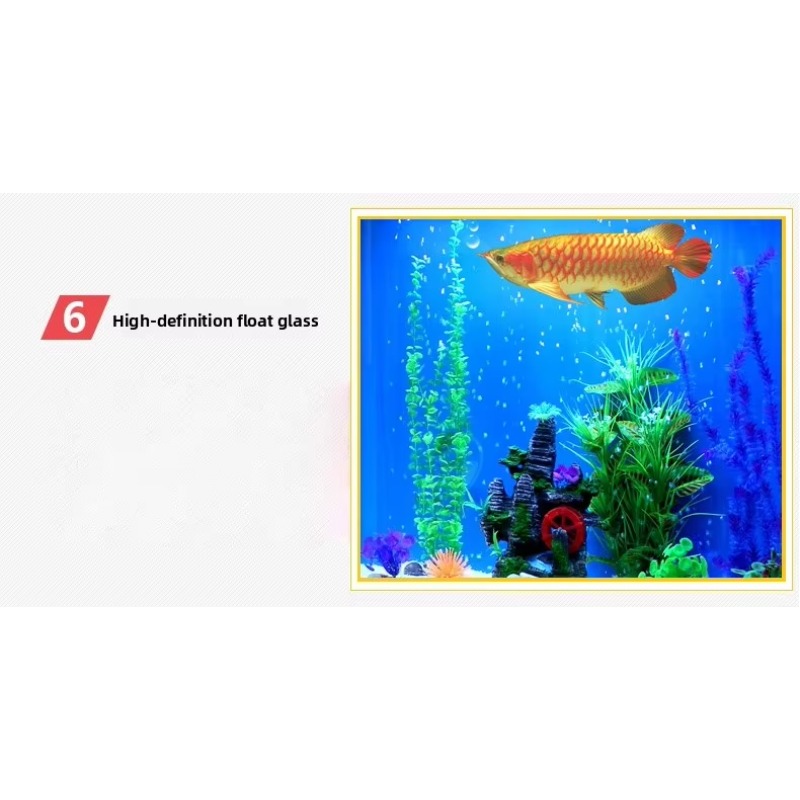Marine Large 200 Gallon Fish A - огляд і ціна Aquarium Marine Fish For Sale